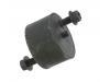 опора двигателя Engine Mount:274 110