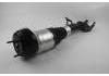 Amortiguador Shock Absorber:166 320 67 66