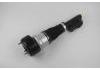 Amortiguador Shock Absorber:221 320 49 13