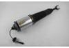 Shock Absorber:4E0 616 040