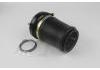 Amortiguador Shock Absorber:37 11 6 757 502